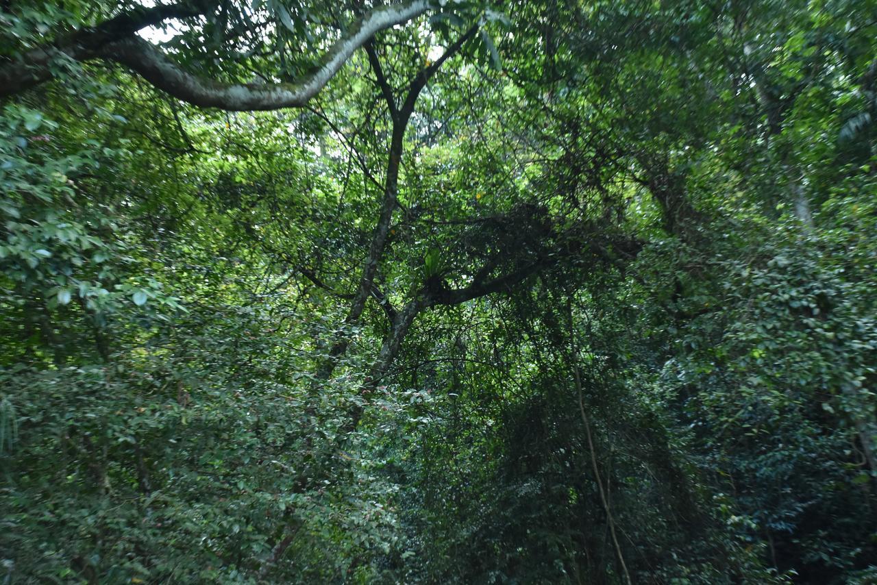 Sinharaja Kurulu Ella Eco Resort Deniyaya Exterior foto