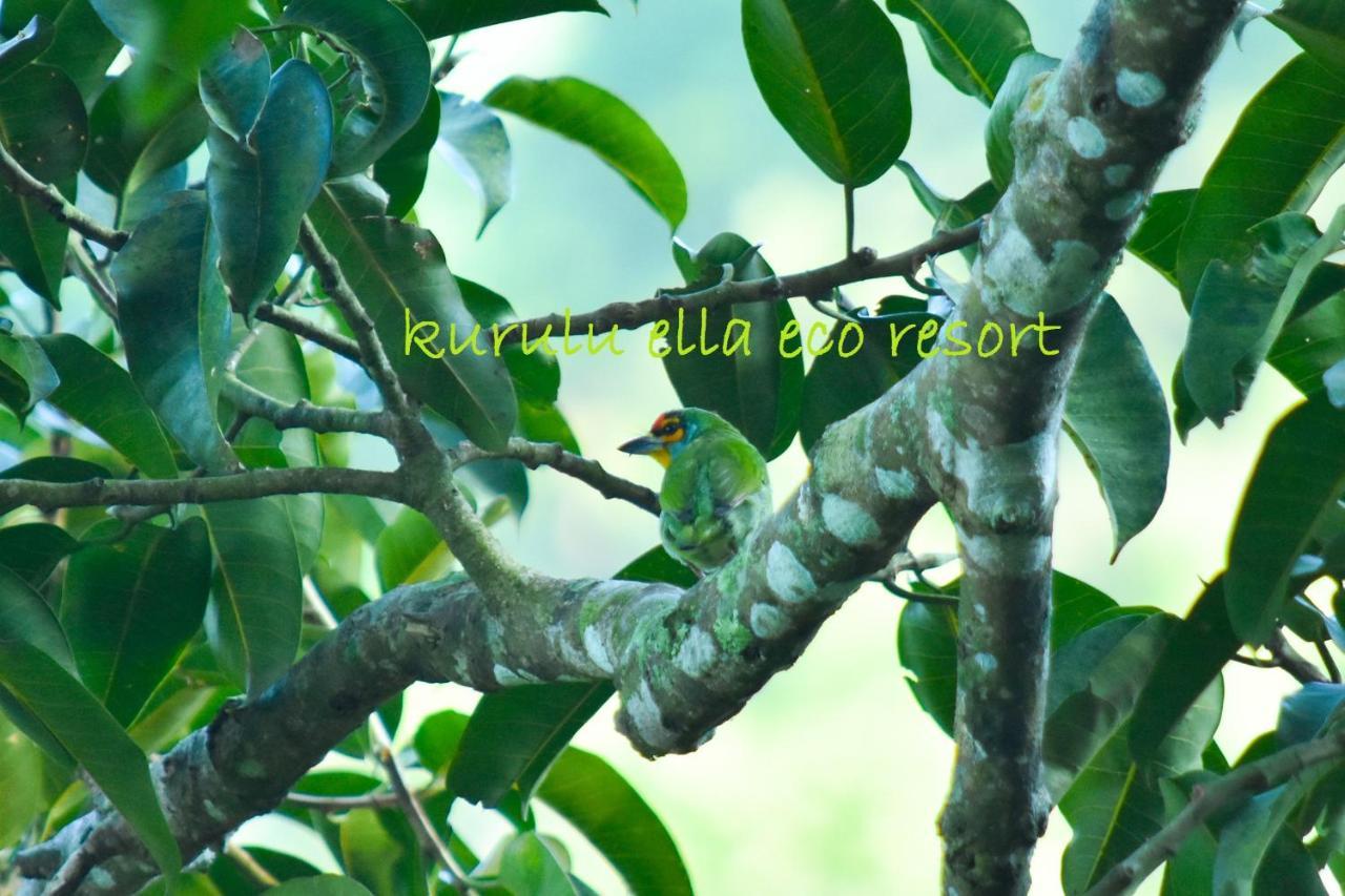 Sinharaja Kurulu Ella Eco Resort Deniyaya Exterior foto
